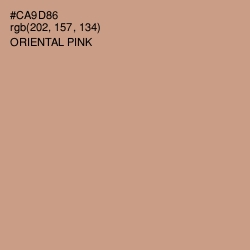 #CA9D86 - Oriental Pink Color Image